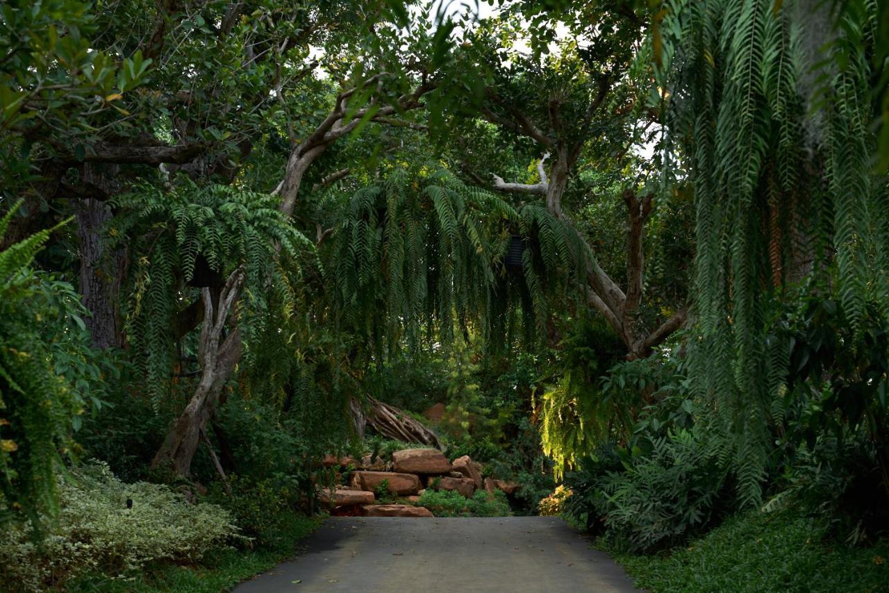 Intercontinental Khao Yai Resort By Ihg Pak Chong エクステリア 写真