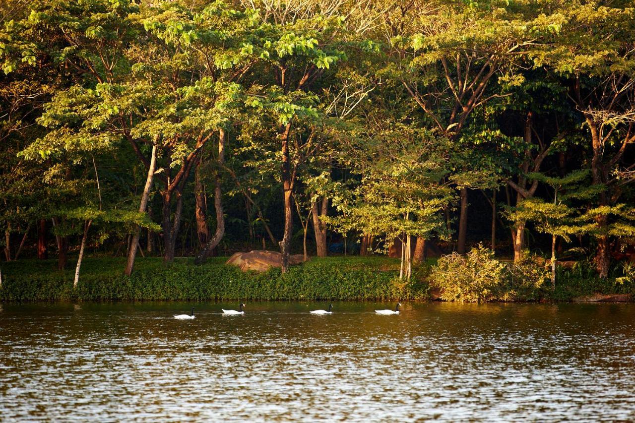 Intercontinental Khao Yai Resort By Ihg Pak Chong エクステリア 写真