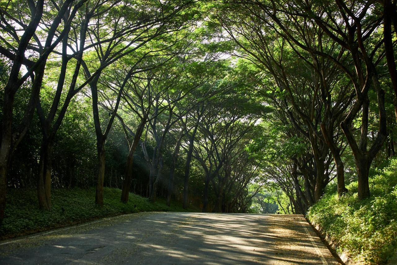 Intercontinental Khao Yai Resort By Ihg Pak Chong エクステリア 写真