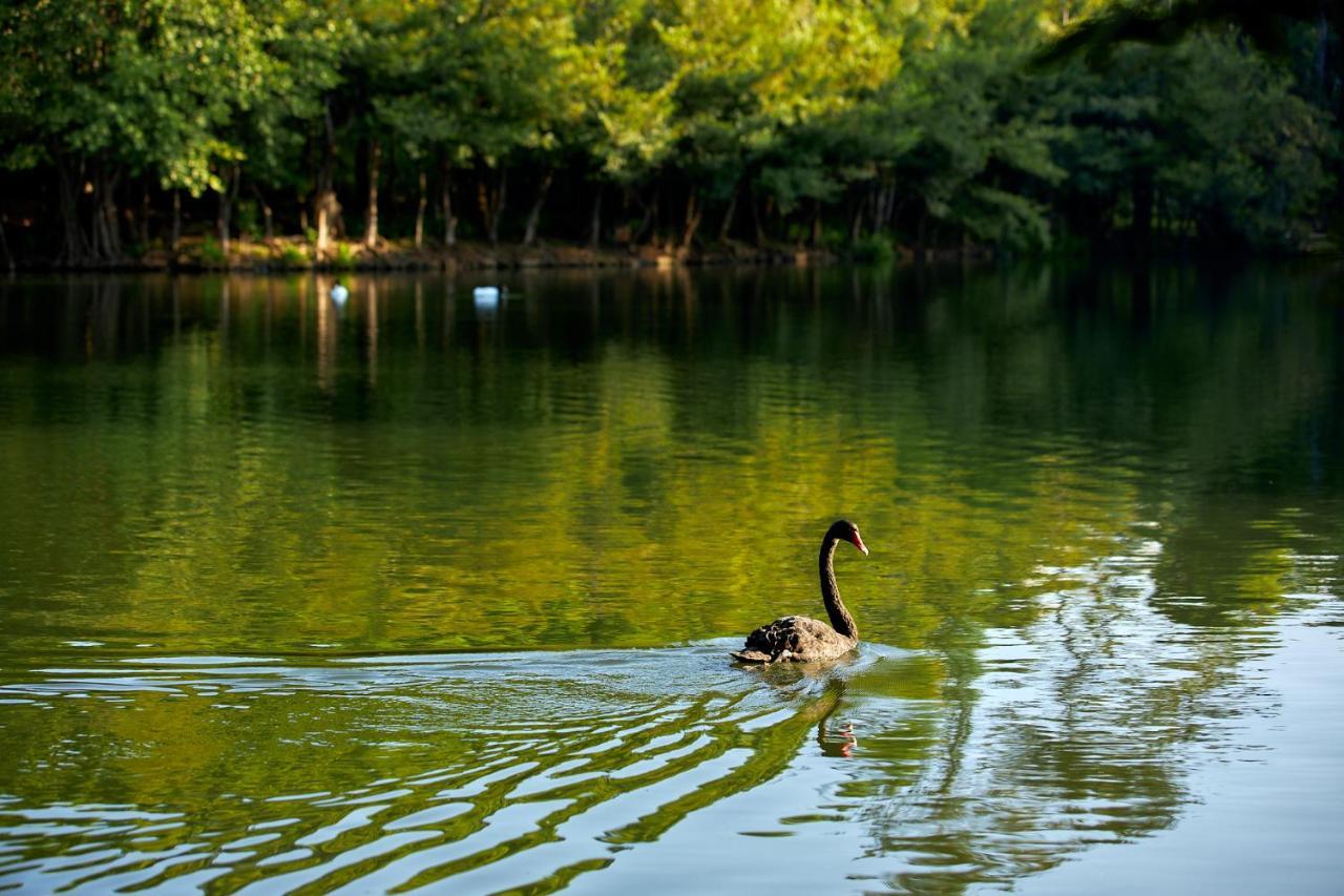 Intercontinental Khao Yai Resort By Ihg Pak Chong エクステリア 写真